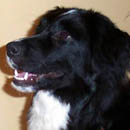 Ladybug was adopted in June, 2005
